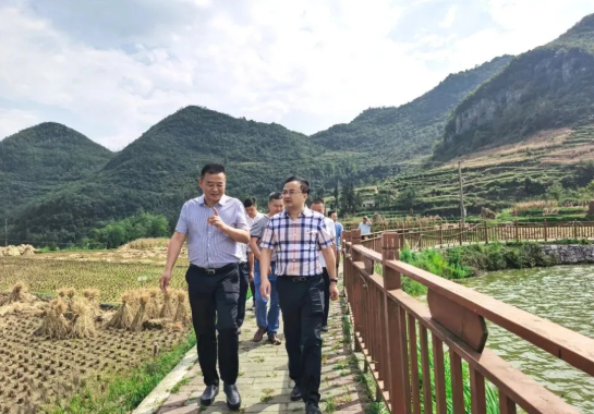 畢節(jié)工業(yè)職業(yè)技術(shù)學(xué)院黨委書記李涌、院長邱國援率隊(duì)到鄉(xiāng)村振興駐村聯(lián)系工作點(diǎn)調(diào)研